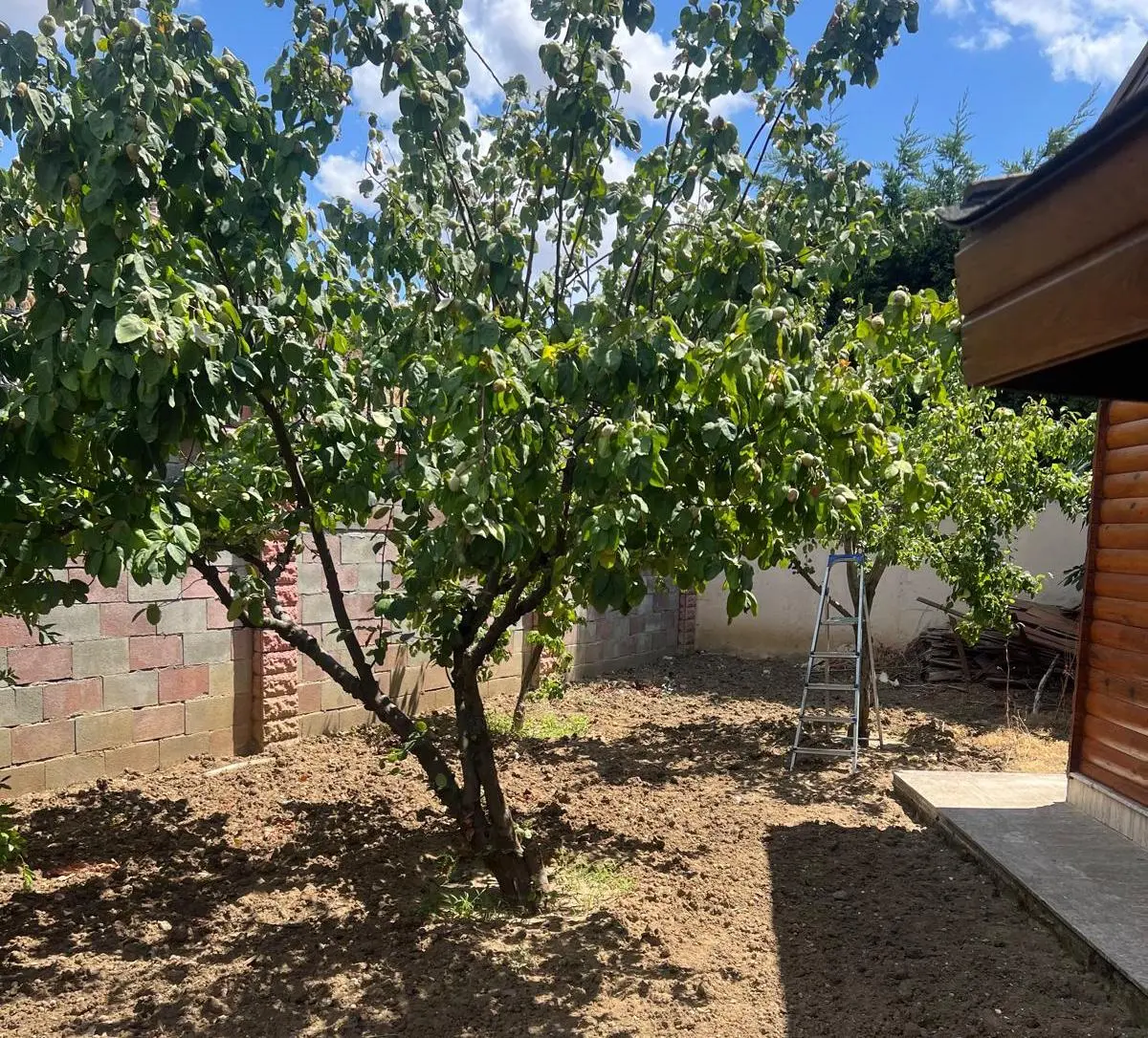 Garden area